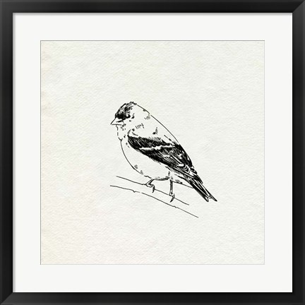 Framed Bird Feeder Friends I Print