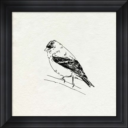 Framed Bird Feeder Friends I Print