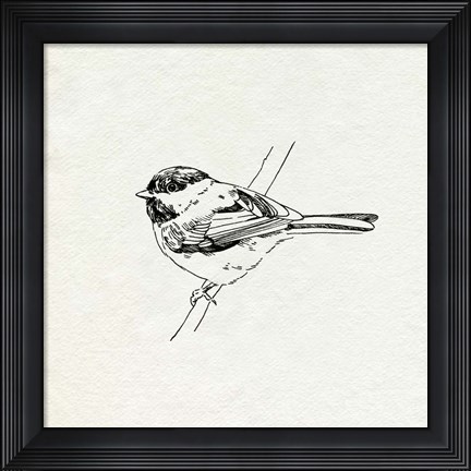 Framed Bird Feeder Friends II Print