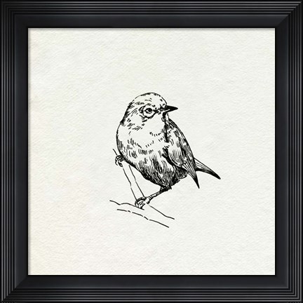 Framed Bird Feeder Friends III Print