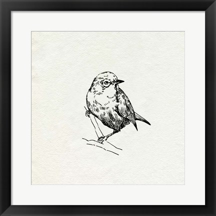 Framed Bird Feeder Friends III Print