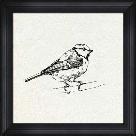 Framed Bird Feeder Friends IV Print