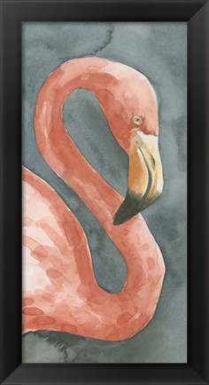 Framed Flamingo Study I Print