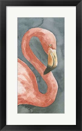 Framed Flamingo Study I Print