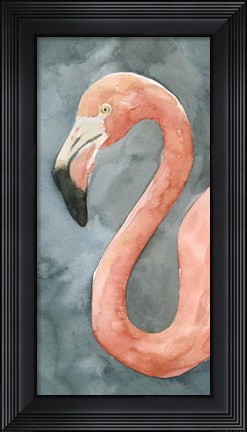 Framed Flamingo Study II Print
