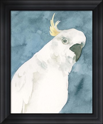 Framed Cockatoo Portrait I Print
