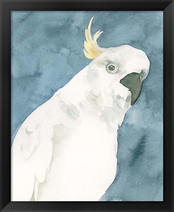 Framed Cockatoo Portrait I Print