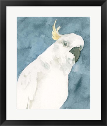Framed Cockatoo Portrait I Print