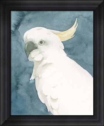 Framed Cockatoo Portrait II Print