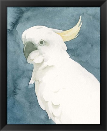 Framed Cockatoo Portrait II Print