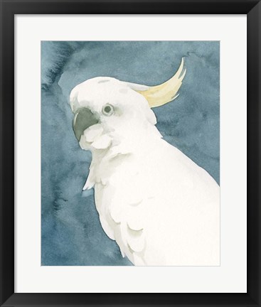 Framed Cockatoo Portrait II Print