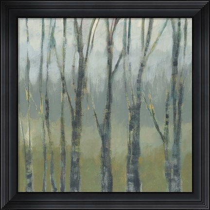 Framed Transitional Treeline II Print