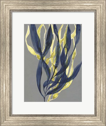 Framed Kelp Embrace I Print