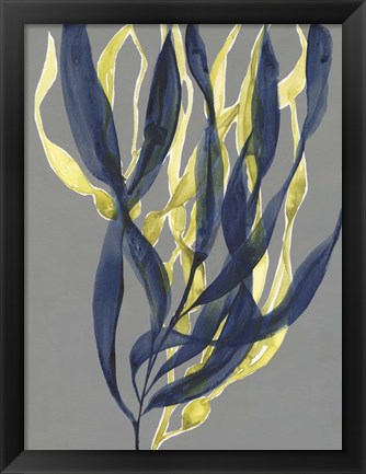 Framed Kelp Embrace I Print