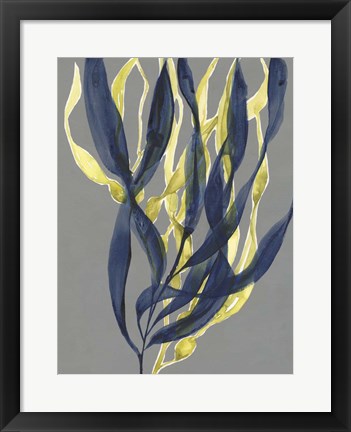 Framed Kelp Embrace I Print