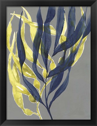 Framed Kelp Embrace II Print