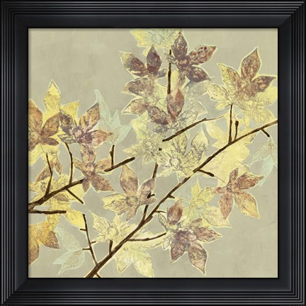 Framed Renewed Maple I Print