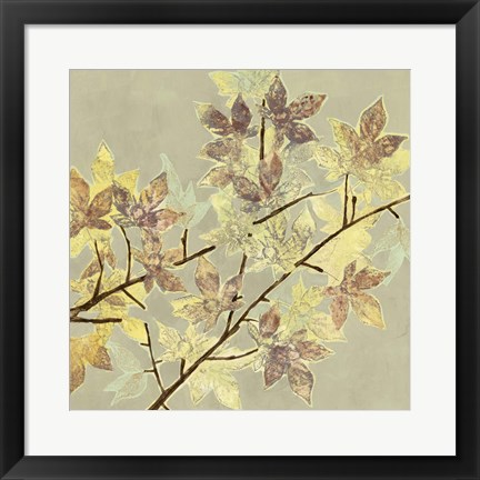 Framed Renewed Maple I Print
