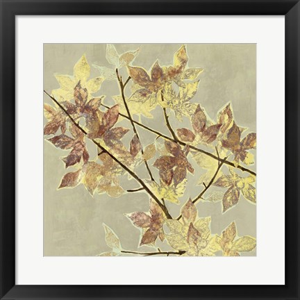 Framed Renewed Maple II Print