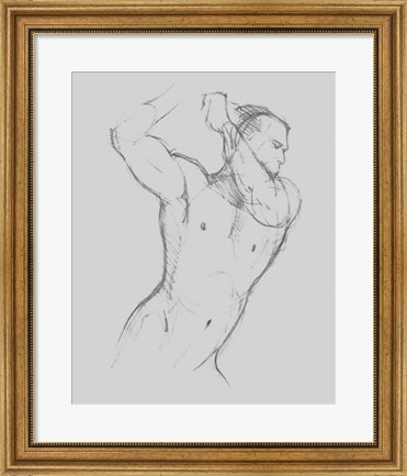Framed Male Torso Sketch I Print