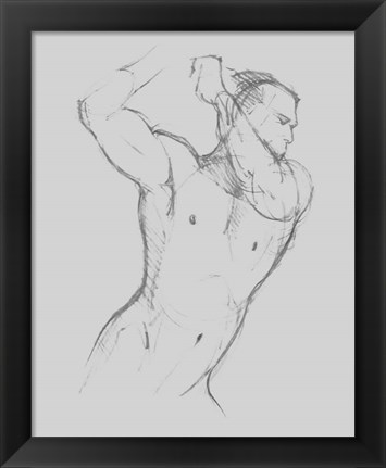 Framed Male Torso Sketch I Print