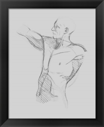 Framed Male Torso Sketch IV Print