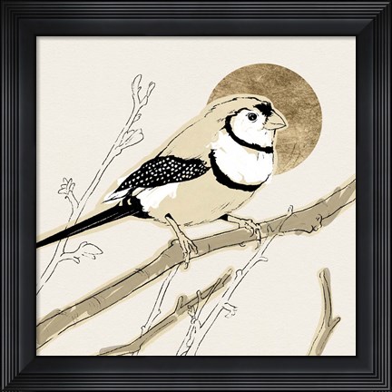 Framed Spring Passerine I Print