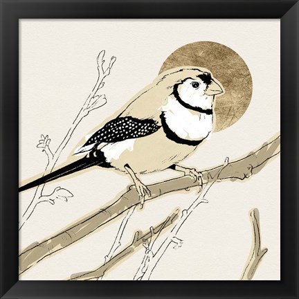 Framed Spring Passerine I Print