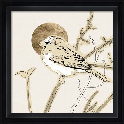 Framed Spring Passerine II Print
