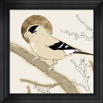 Framed Spring Passerine IV Print
