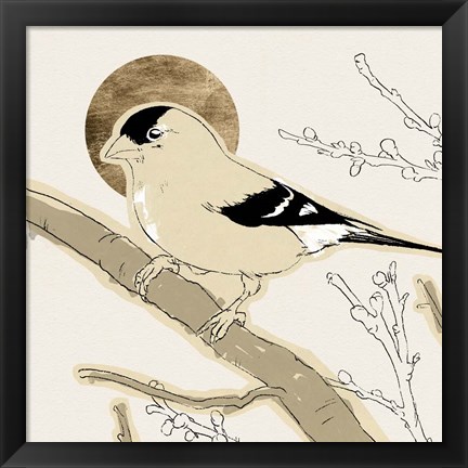 Framed Spring Passerine IV Print