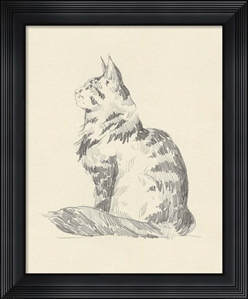 Framed House Cat II Print