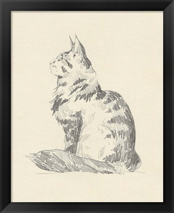 Framed House Cat II Print