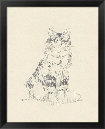 Framed House Cat III Print