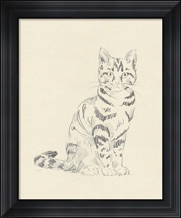 Framed House Cat IV Print