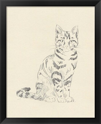 Framed House Cat IV Print