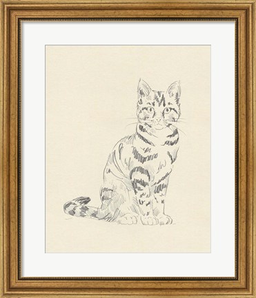 Framed House Cat IV Print