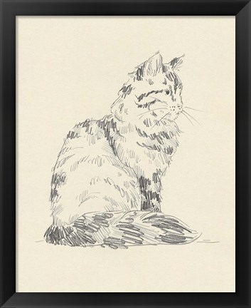 Framed House Cat VI Print