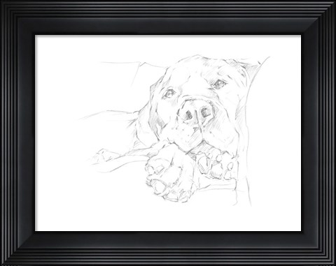 Framed Lazy Dog I Print
