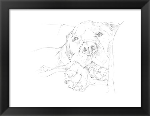 Framed Lazy Dog I Print