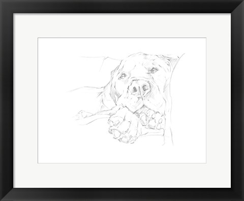 Framed Lazy Dog I Print