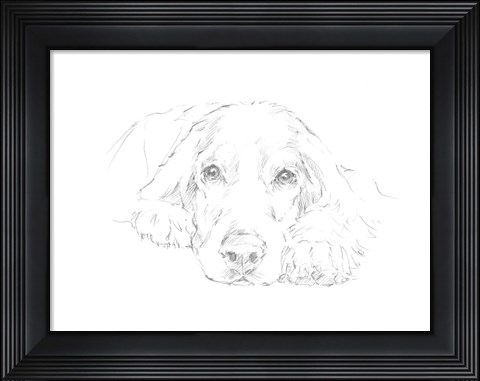 Framed Lazy Dog II Print