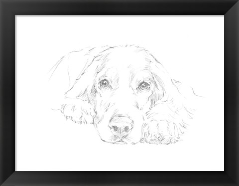 Framed Lazy Dog II Print