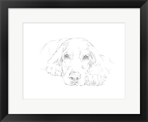 Framed Lazy Dog II Print