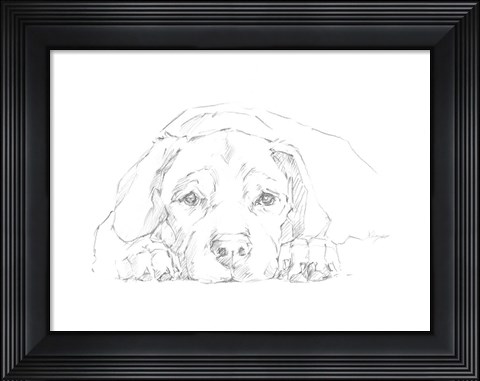 Framed Lazy Dog III Print