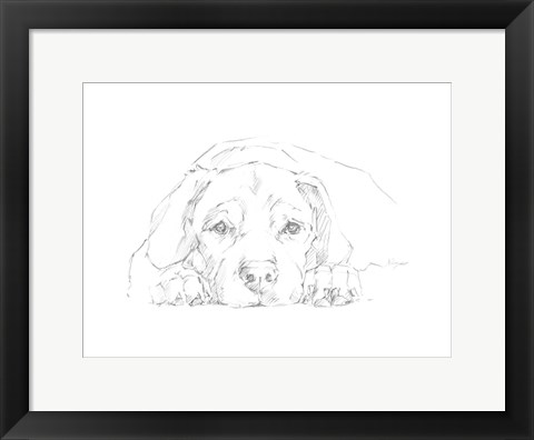 Framed Lazy Dog III Print