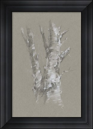 Framed Chalk Birch Study I Print