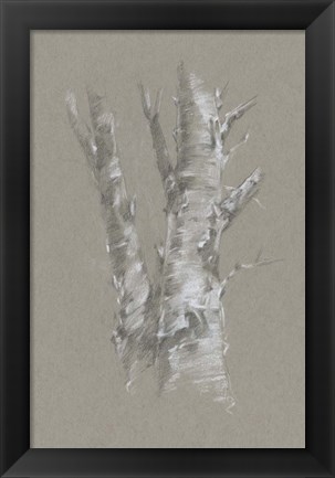 Framed Chalk Birch Study I Print