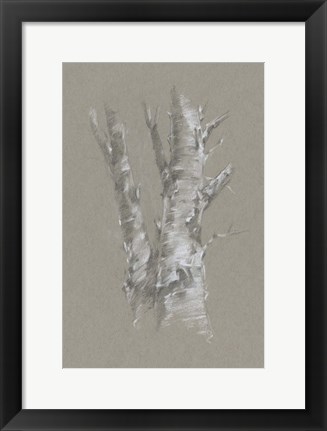 Framed Chalk Birch Study I Print