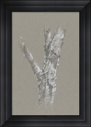 Framed Chalk Birch Study II Print